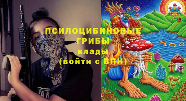 МДПВ Богданович